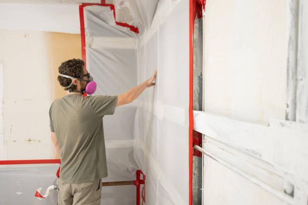 Best Mold Prevention Services  in Willard, OH